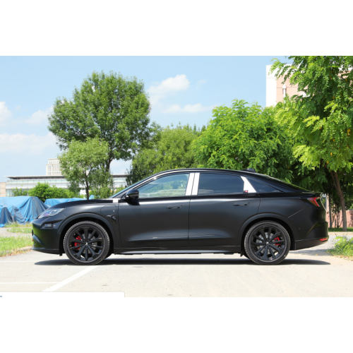 Arcfox Alpha s Voiture Electrique Adulte Buggy Vehicles for Adults Four Wheeler Electric Sports Car